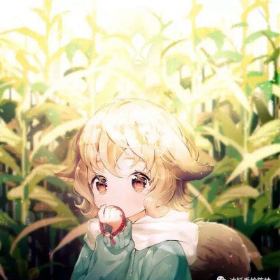 A股多只业绩高增股涨停